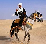 Bedouin on horse