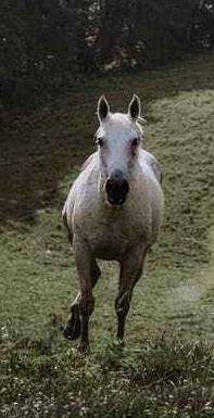 pexels-photo-2566610