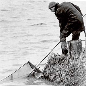 elver-fisherman